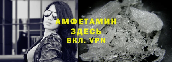 твердый Алексеевка
