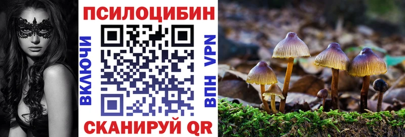 дарнет шоп  Аша  KRAKEN как войти  Псилоцибиновые грибы Magic Shrooms 