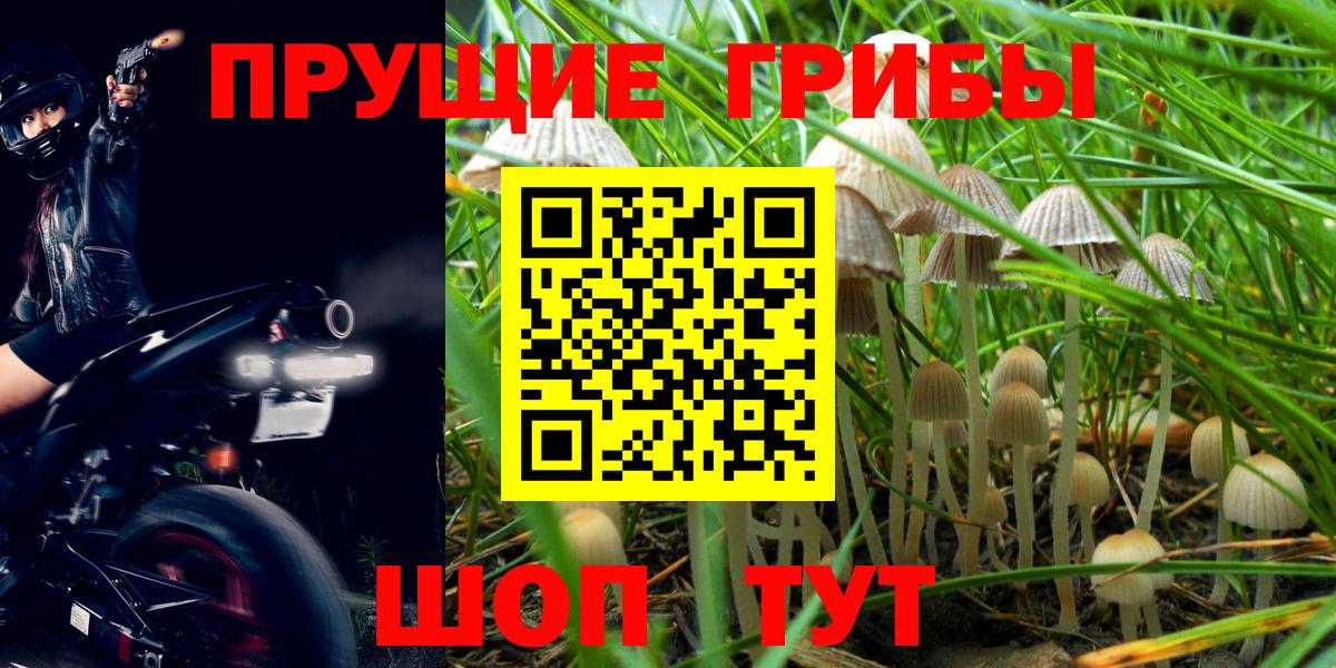 Галлюциногенные грибы прущие грибы Аша