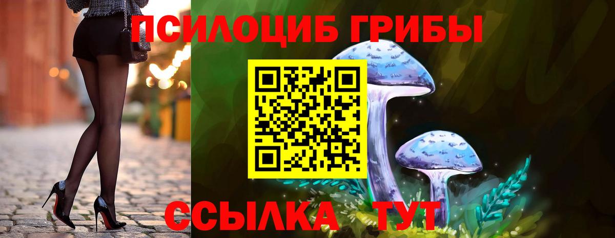 Аша  Галлюциногенные грибы GOLDEN TEACHER  Галлюциногенные грибы MAGIC MUSHROOMS  Вход с VPN 